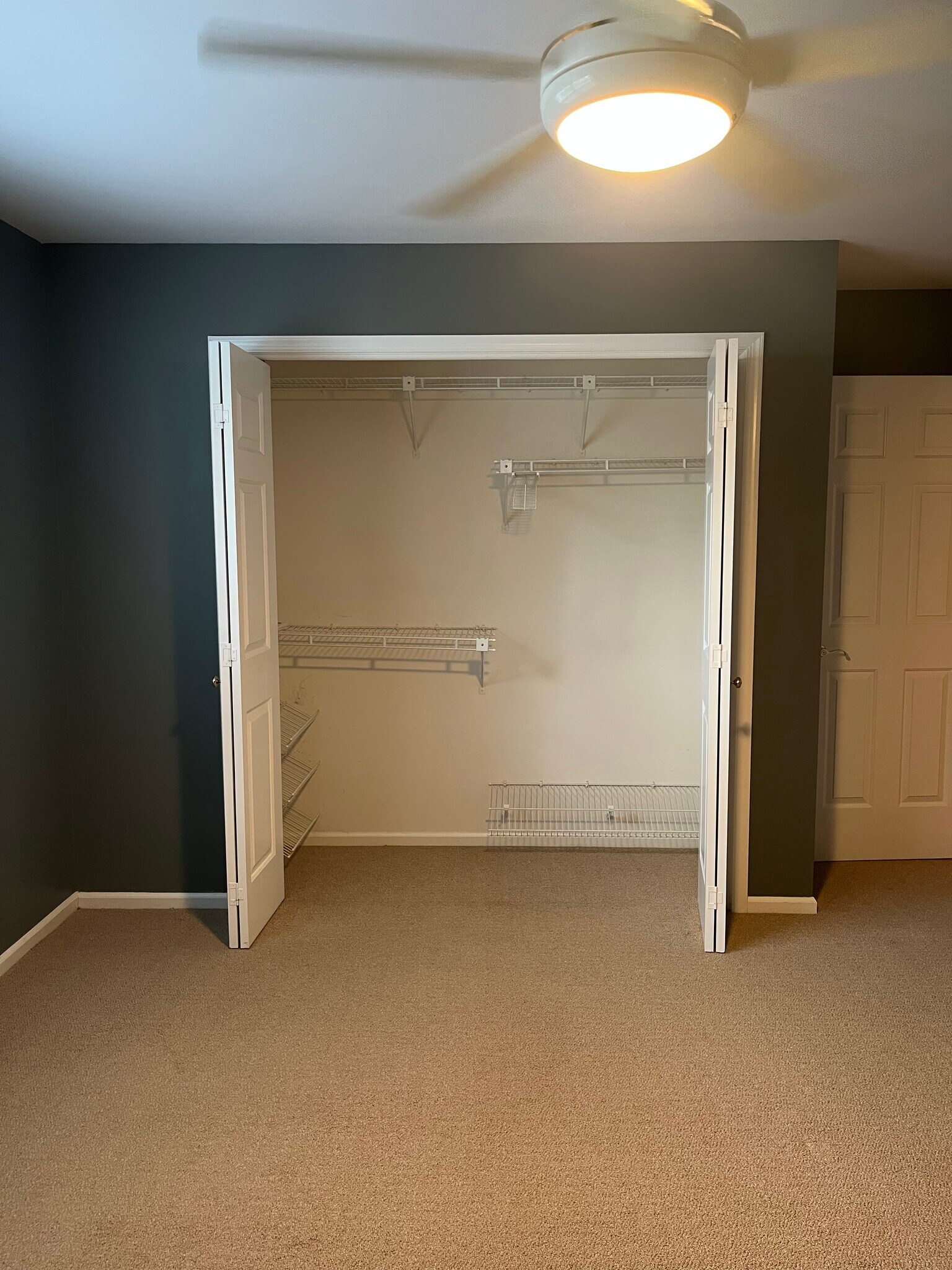 Building Photo - 1607 Briarwood Ln