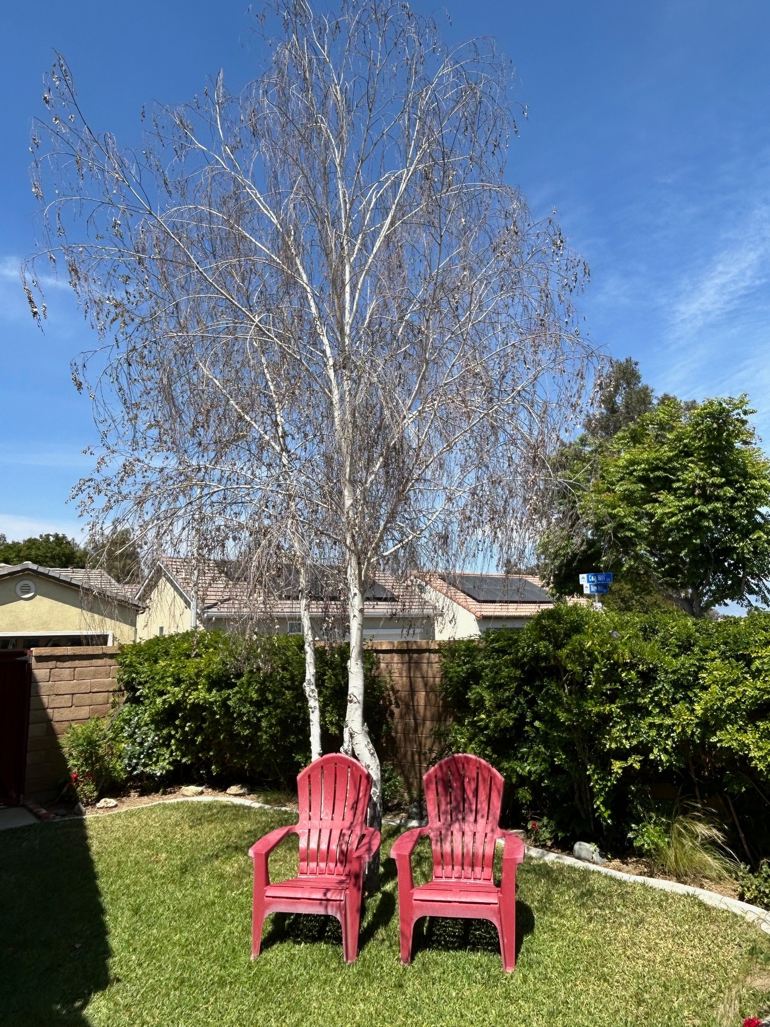 Building Photo - 8008 Hazeltine Ln