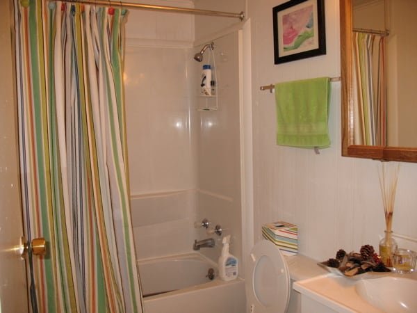 hall bath - 34 Meadowlark Dr