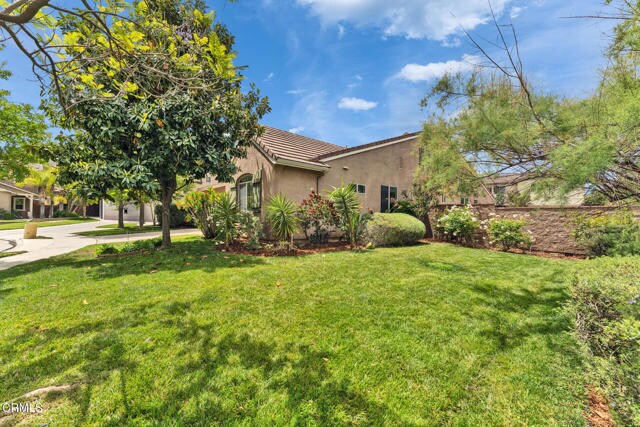Building Photo - 24889 Ash Tree Ct
