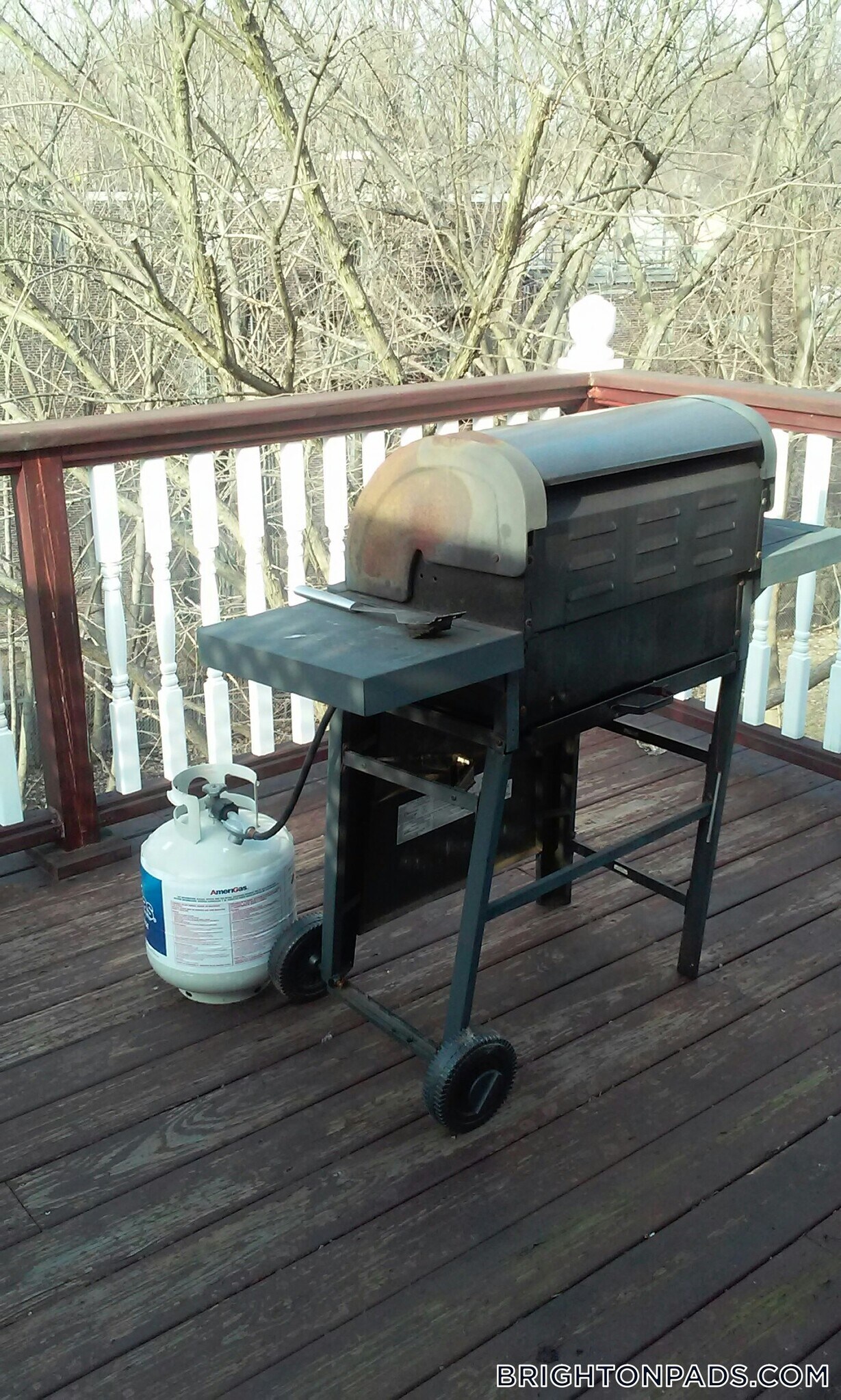 Building Photo - 127 Nonantum St