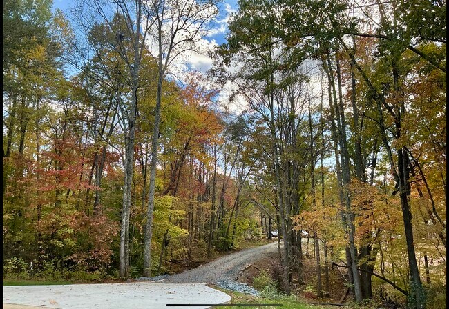 Building Photo - 291 North St