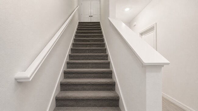 Building Photo - 3121 Novara Ln