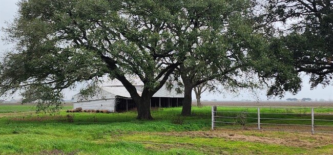 Building Photo - 13707 Farm to Market 1489