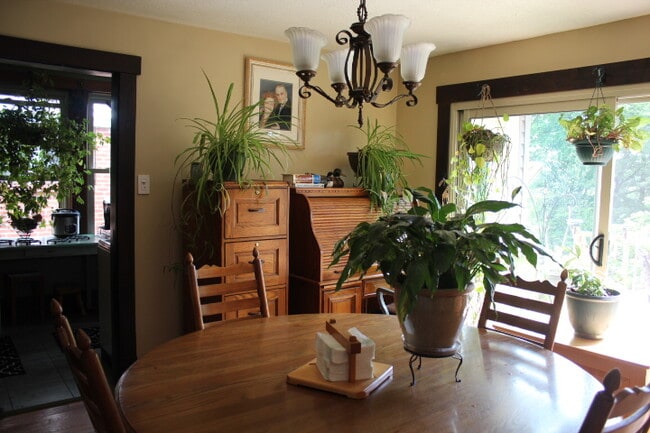 Building Photo - 1004 Winterton St