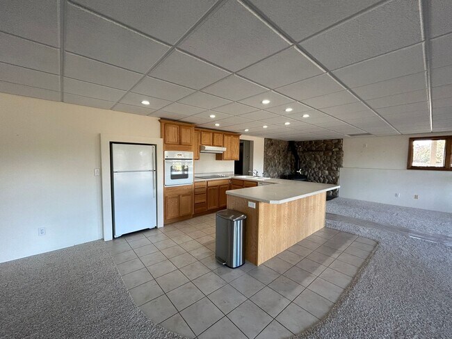 Building Photo - Spacious Daylight Apartment in Hamilton