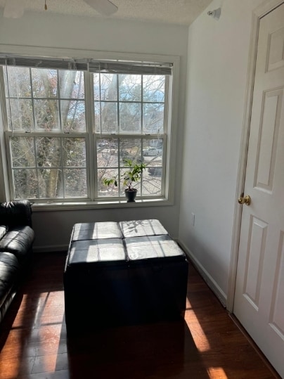 Building Photo - 2021 Wolf Tech Ln