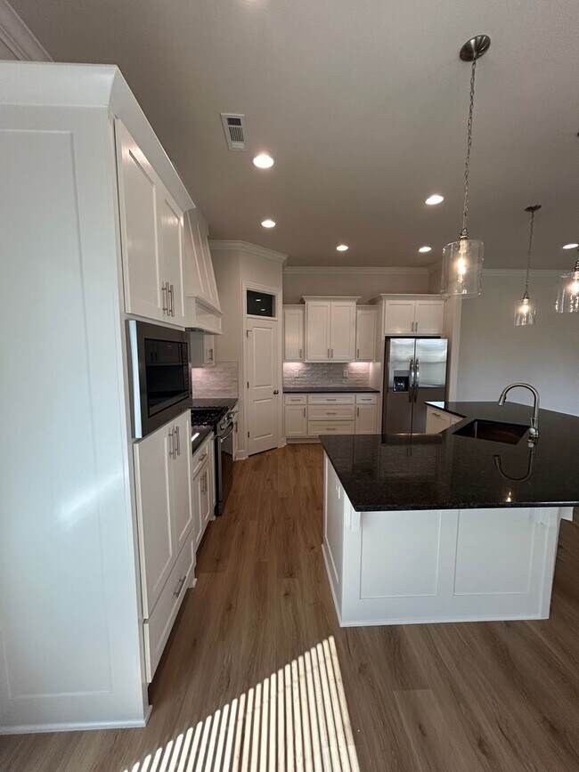 Building Photo - Brand New 4 bed 2.5 bath Modern Build in P...