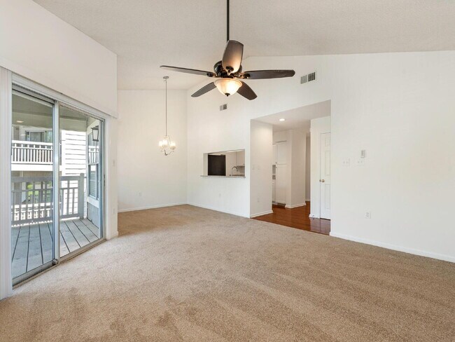Building Photo - Updated 3 BR unit in the heart of South Park