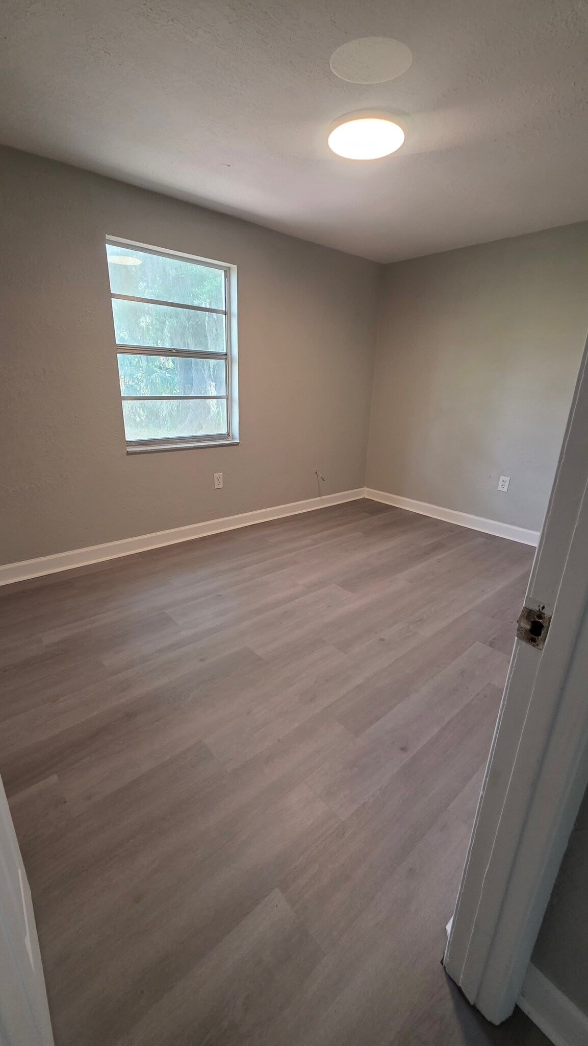 Building Photo - 101 S Forest St