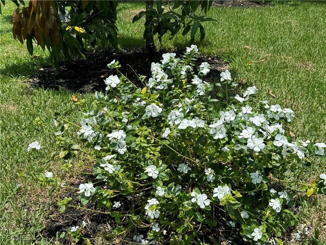 Building Photo - 1740 Ludlow Rd