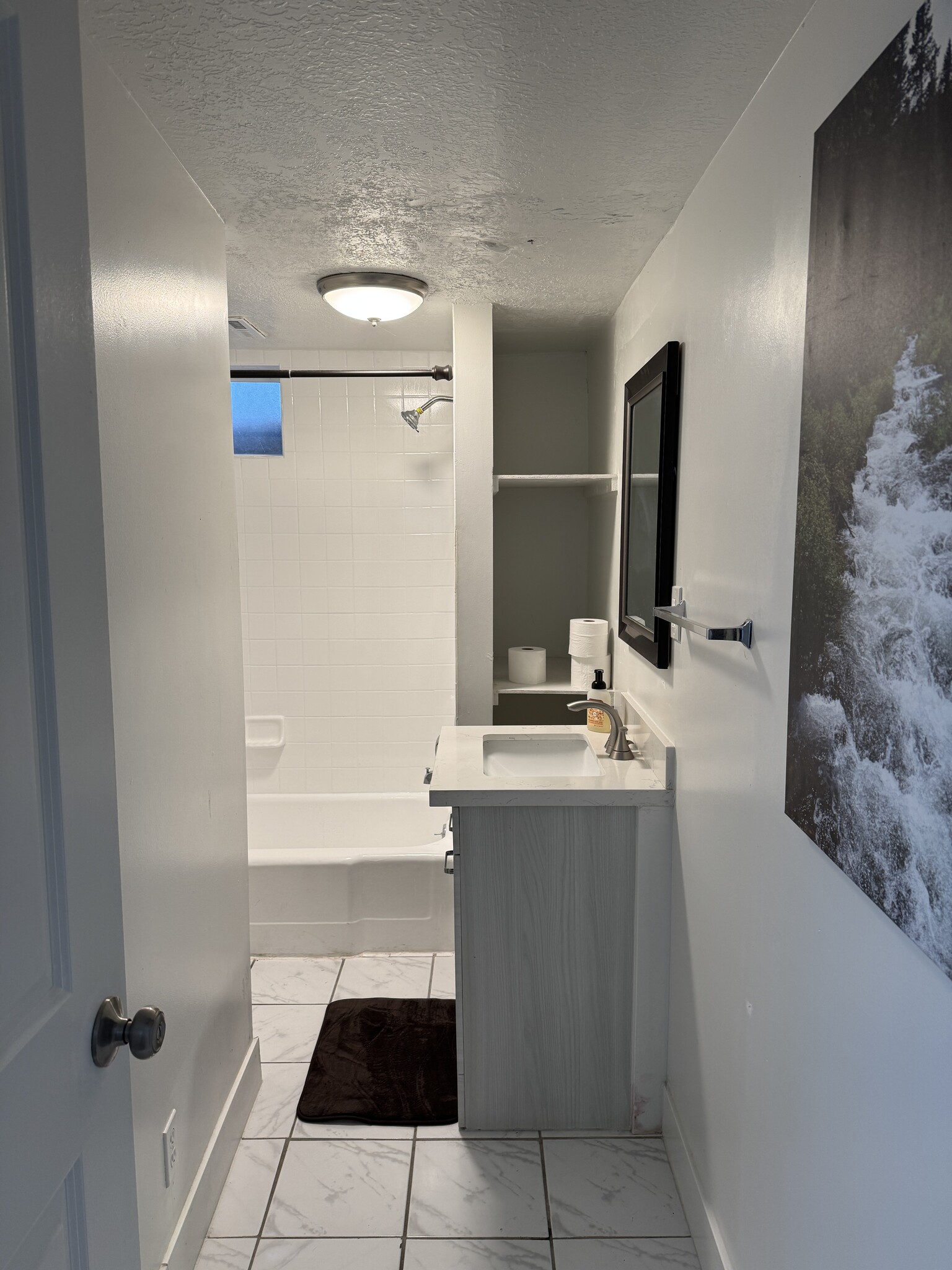 Downstairs bathroom - 883 E Sego Lily Dr