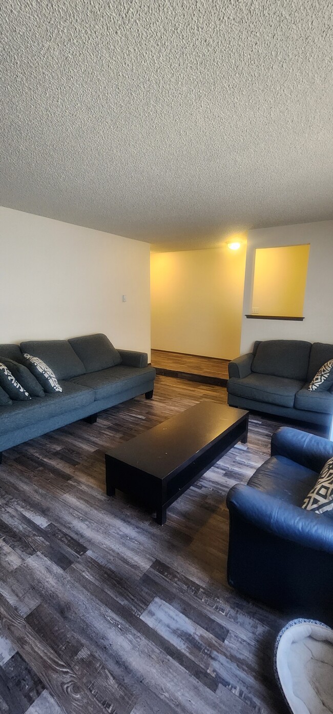 Living room - 523 159th St E