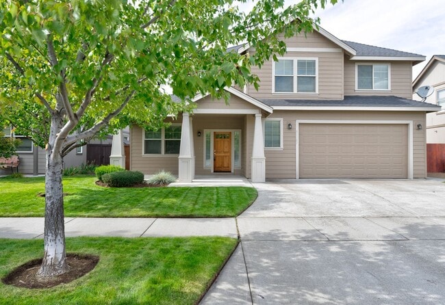 Primary Photo - 61167 Cone Flower St