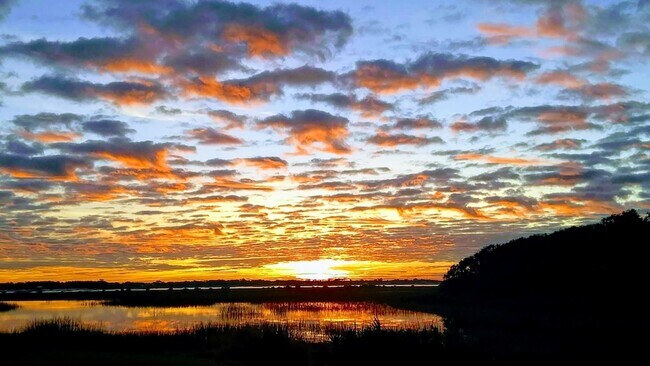 Building Photo - 31 Aledo Ct