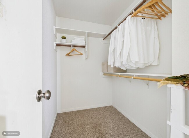 Building Photo - 513 Camp Ct