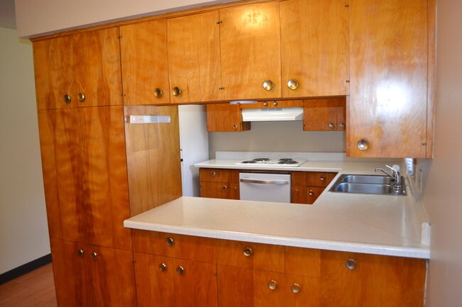 Building Photo - Nice 3-4 Br, 2 Bath Ranch style home, fenced in yard, garage, patio, full basement