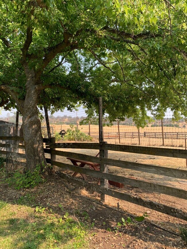 Building Photo - Butte Valley 3 bed 2 bath home, Privacy, n...