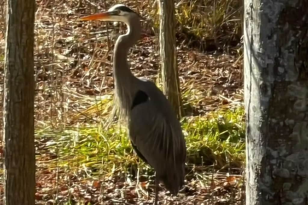 Building Photo - 30381 Crowley Dr