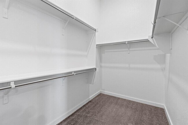 Building Photo - 1204 Texas Ash Ln