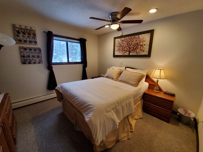 Master bedroom with queen bed, ceiling fan, great lighting - 19 Overbrook Dr