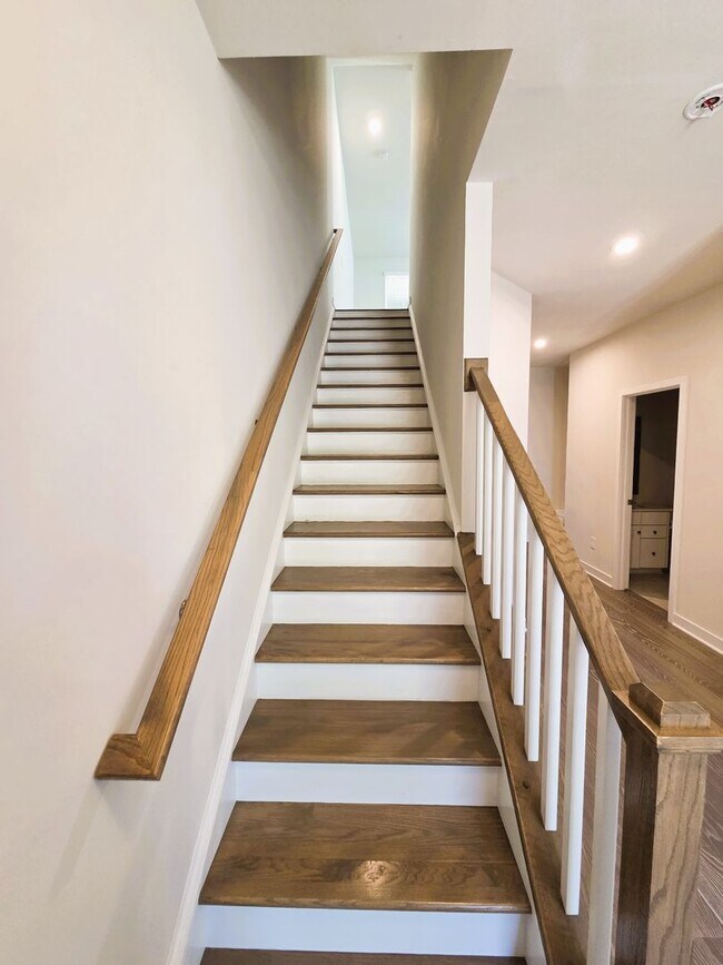 Building Photo - 2209 Cantina Ln