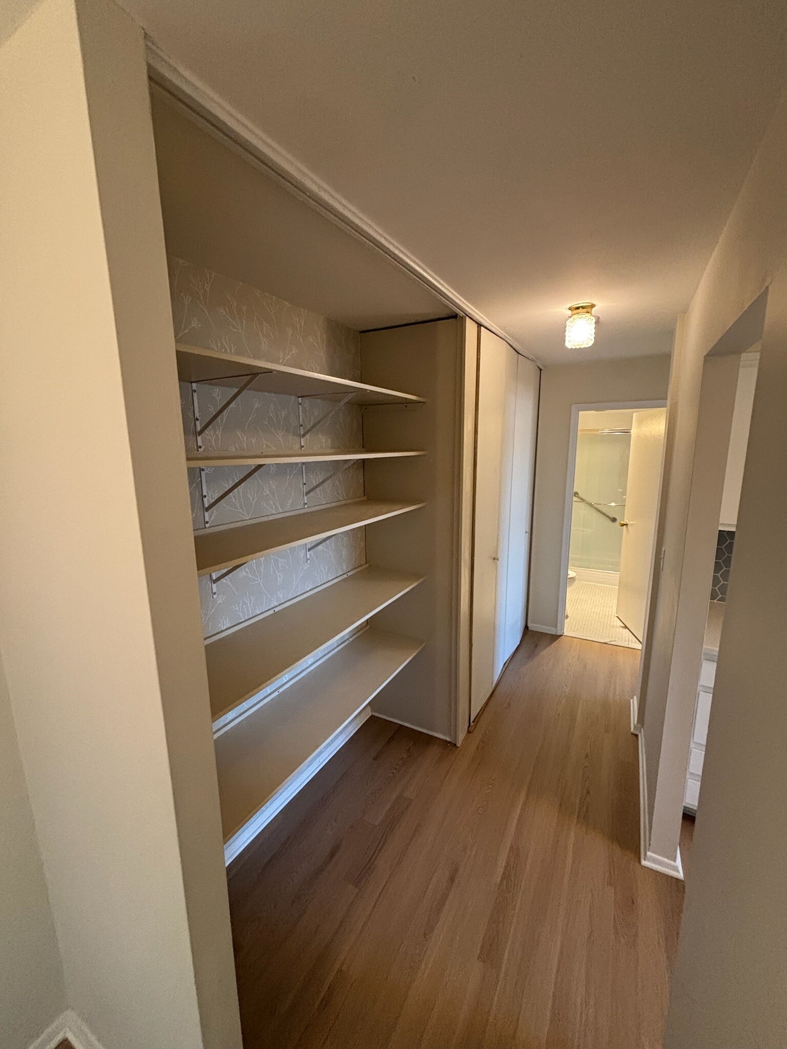 Open pantry and hall Storage - 887 Farmington Ave