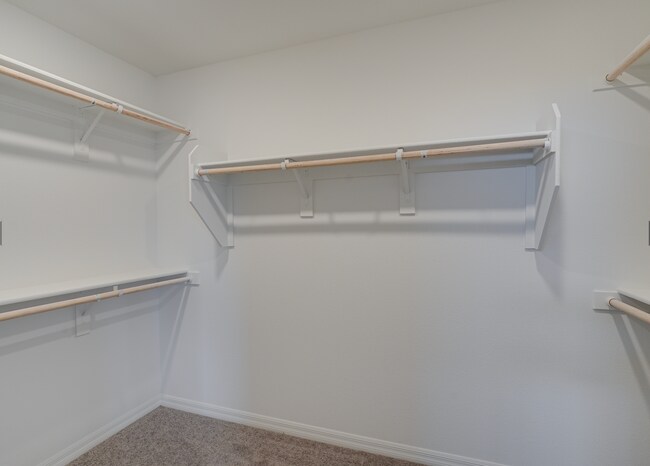Building Photo - Beautiful 4-Bedroom Home in Desirable Highlands Ranch