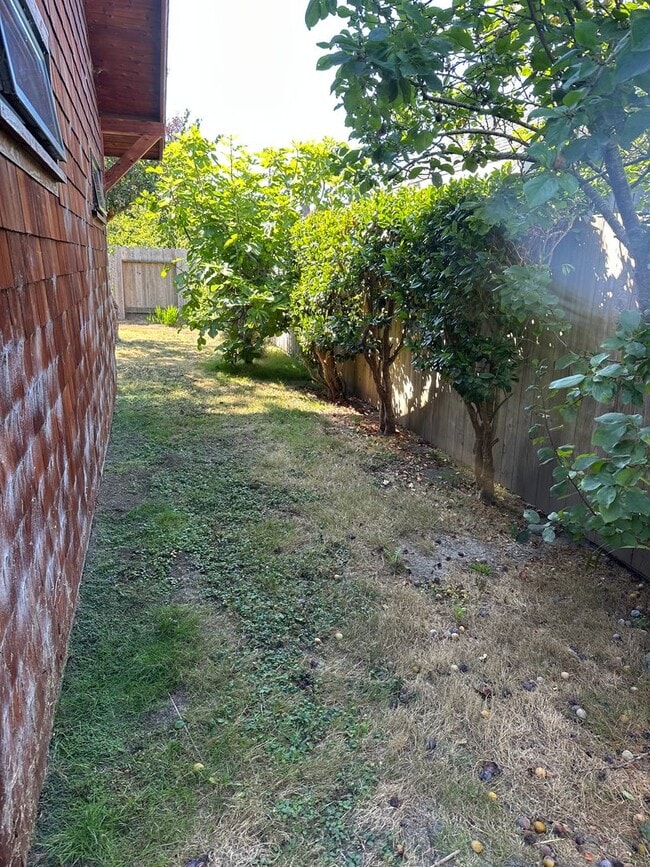 Building Photo - Charming Studio Loft in Arcata – Close to Plaza & Cal Poly Humboldt