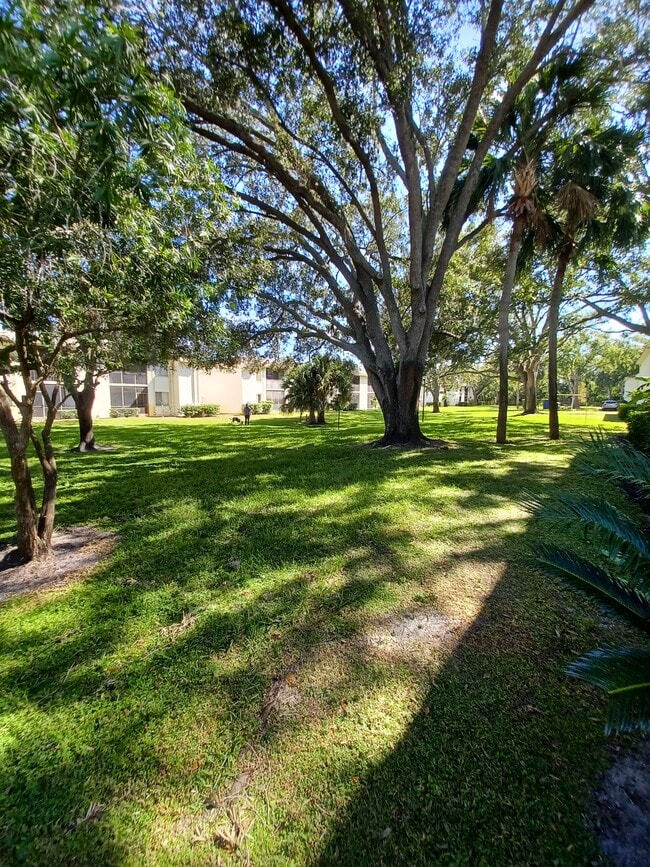 Building Photo - 114 Palmetto Ct