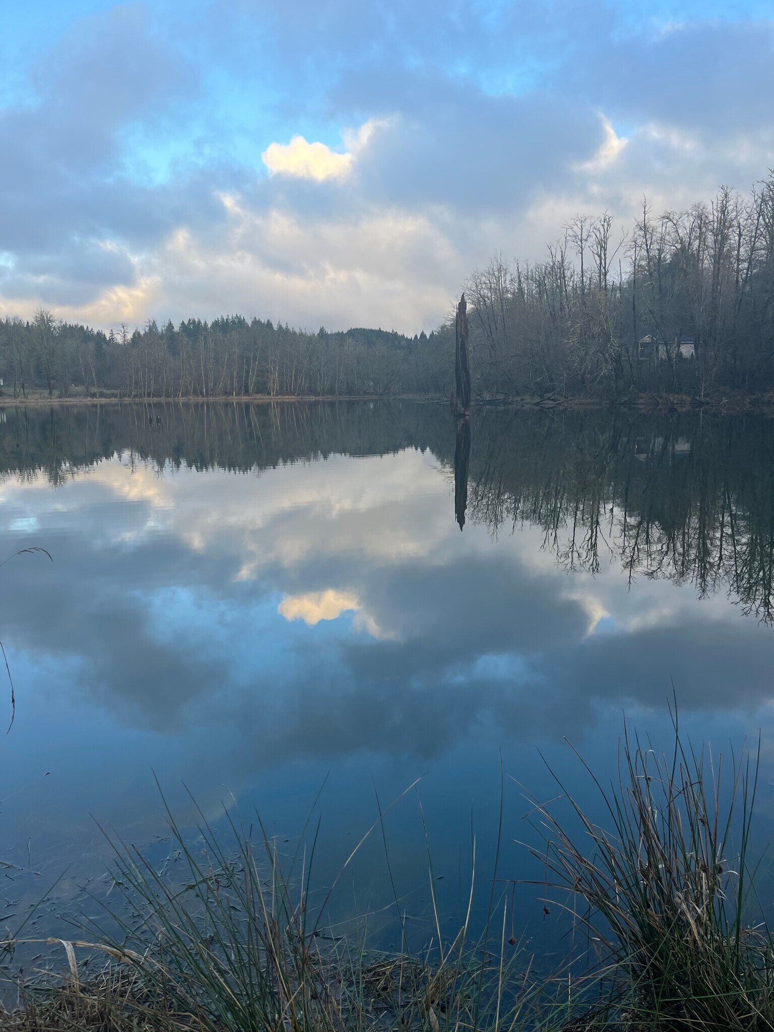 Building Photo - 15116 NE Grantham Rd