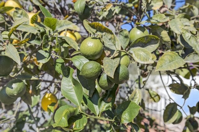 Building Photo - 622 S Evergreen Dr