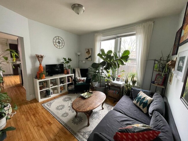 Primary Photo - 2 bedroom in Chicago IL 60626