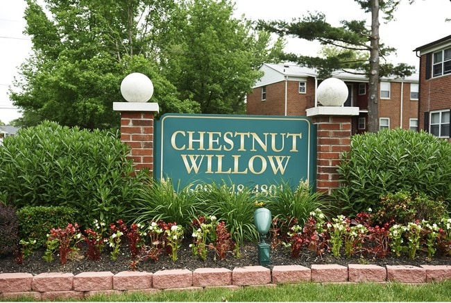 Primary Photo - Chestnut Willow