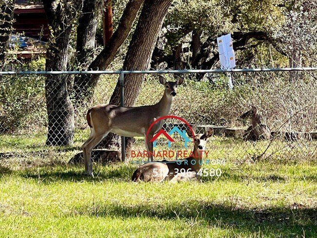 Building Photo - Available March 21: 3 Bed/2 Bath in Established Neighborhood