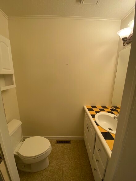 Downstairs Bathroom - 221 Dickinson Rd