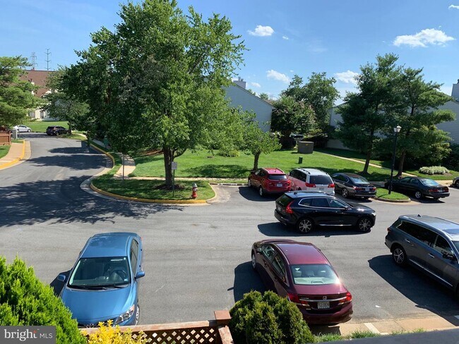 Building Photo - 6084B Essex House Square