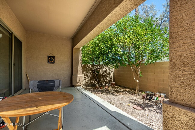 Building Photo - 1477 W Marlin Dr