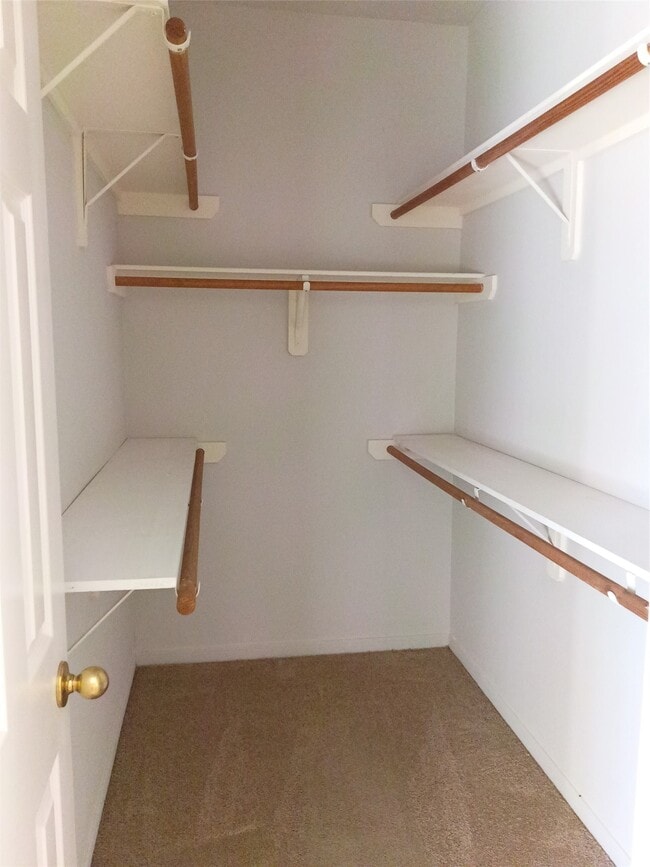 Building Photo - 23902 Spring Dane Dr