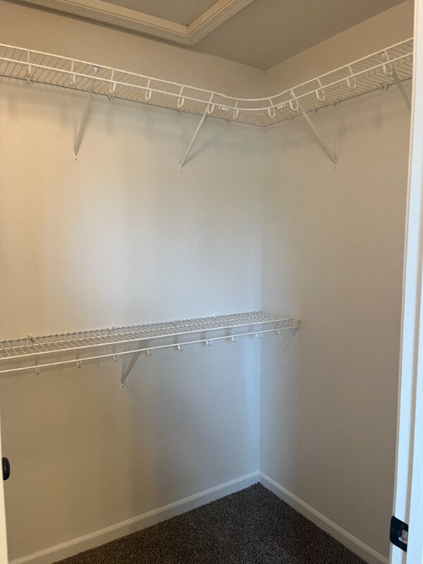 Building Photo - 904 N Cypress Cir