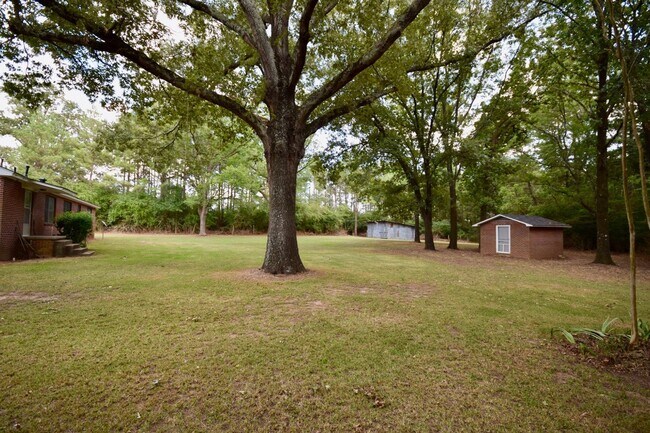 Building Photo - 3 Bed 1 Bath Home!