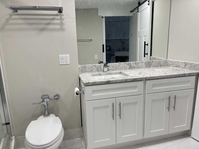 Brand new bathroom - 300 N State St