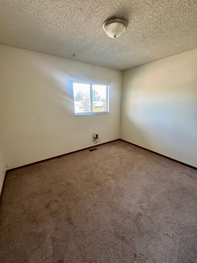 Building Photo - Lovely 3 bedroom 2 bath in North Colorado ...