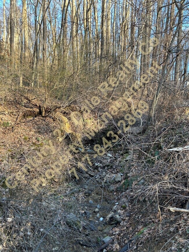 Building Photo - Large 3 Bedroom, 2 Bath Pet friendly home with off street parking and a 600sqft detached garage