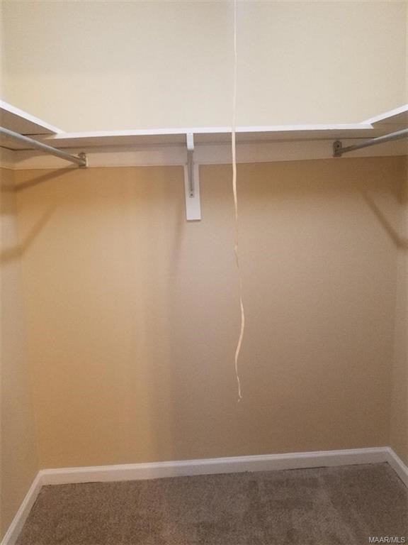 Building Photo - 1811 Young Farm Rd