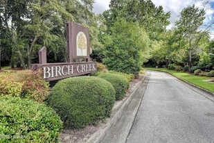 Building Photo - 1029 Birch Creek Dr