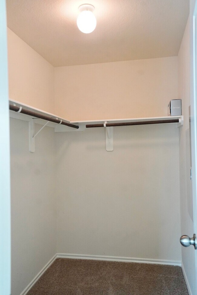 Building Photo - 3414 Halle Trace Ln