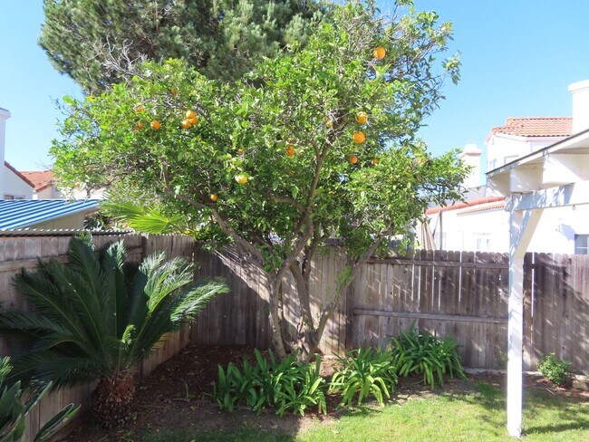 Building Photo - Renovated Three Bedroom Home