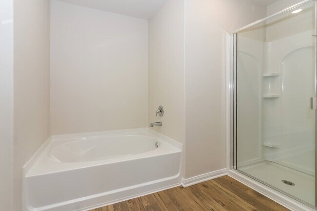 Building Photo - 8206 Sunberry Shadow Dr