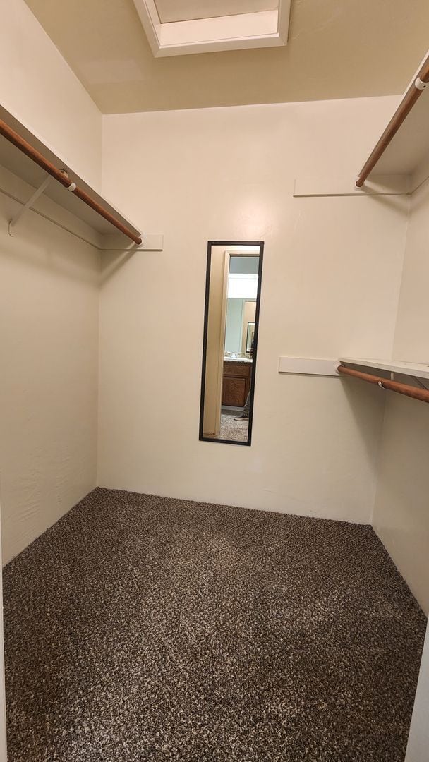 Building Photo - 3509 Rosemary Ct